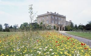 Prince Charles and his garden at Highgrove - wildflowers.jpg